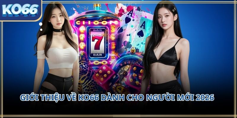 Giới thiệu về KO66 dành cho người mới 2026
